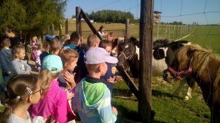 WP_20190912_09_36_56_Pro